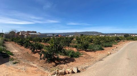 Finca Agrícola en Pla Nou de Canals, immagine 2