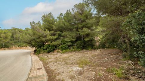 Impresionante parcela cerca de la playa en venta en Canyamel, Mallorca Este, imatge 5