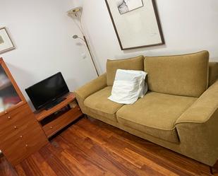 Living room of Apartment to rent in Santander  with Furnished and Pets allowed
