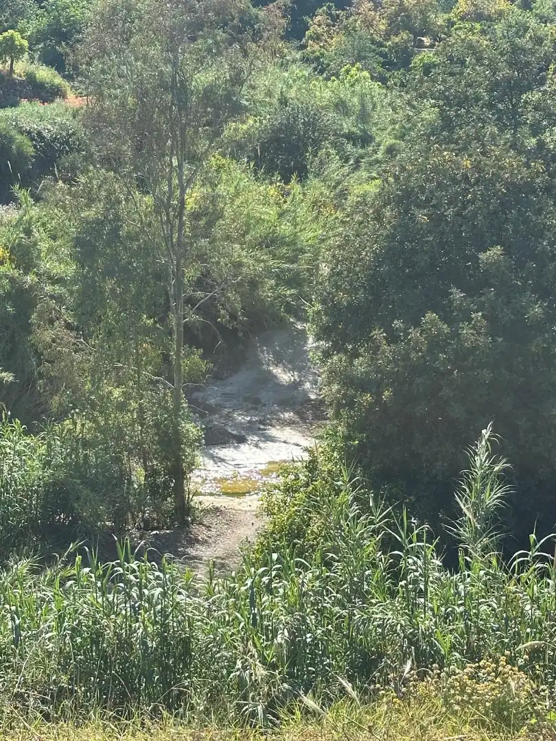 Terreni e lotti in vendita a Riogordo, imagen 11
