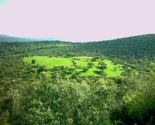 Land for sale in Fuente Obejuna