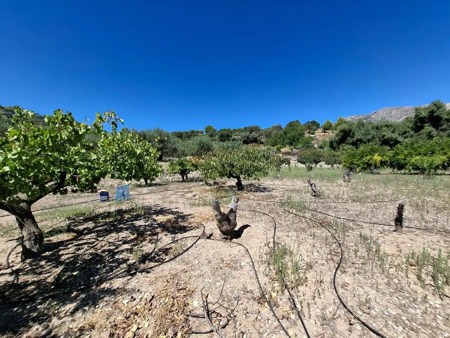 Grundstücke zum Verkauf in Beniardà
