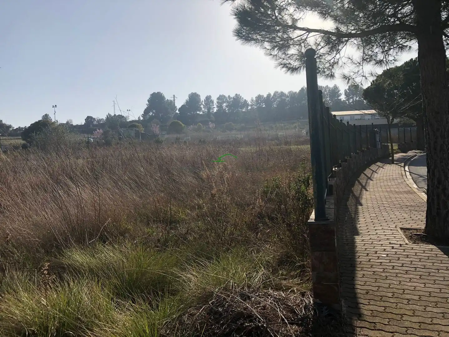 Land for sale in MONTSANT S/N, 2, Sant Esteve Sesrovires