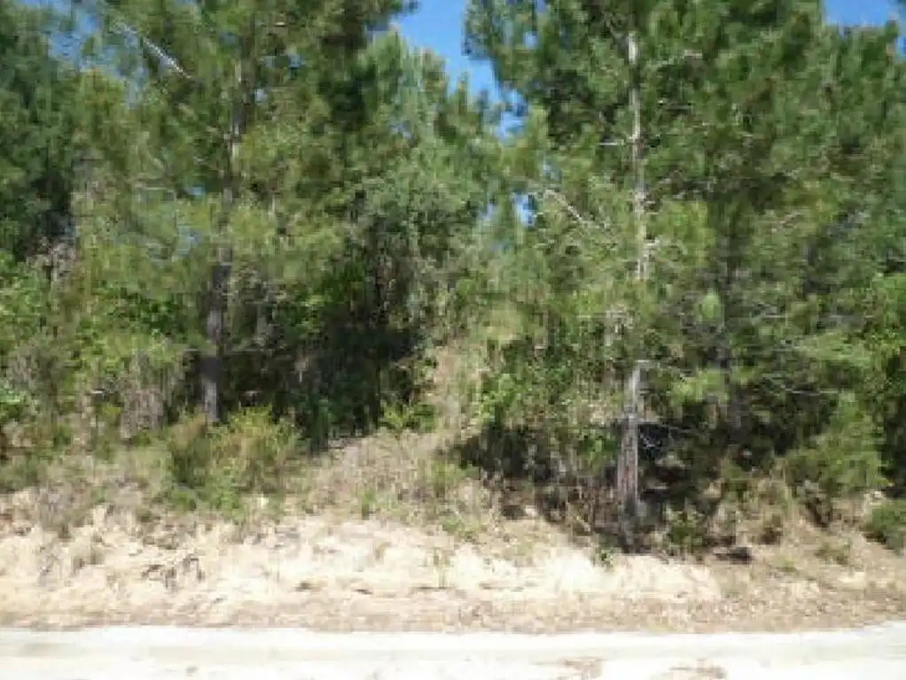 Residential land for sale in Carrer Pollancre, imagen 2