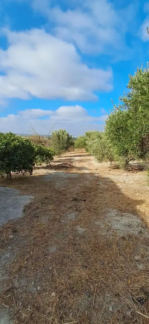 Casa rústica en venda a Arcos de la Frontera, imagen 15