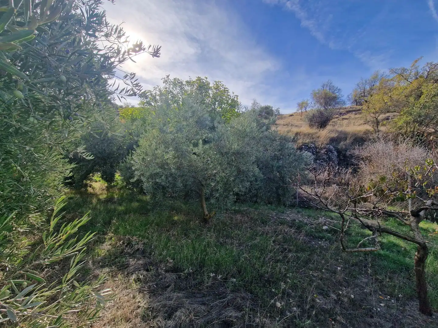 Maison rustique avec jardin à vendre à Cogollos de la Vega, imagen 79