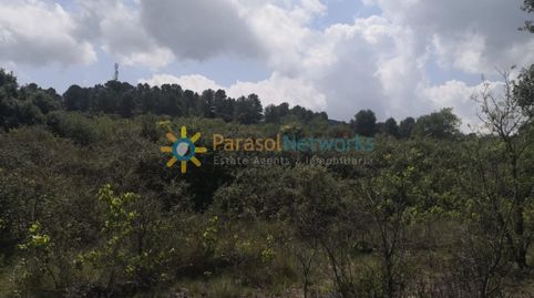 Foto 4 de Terreno en venta en Castelló de Rugat, Valencia