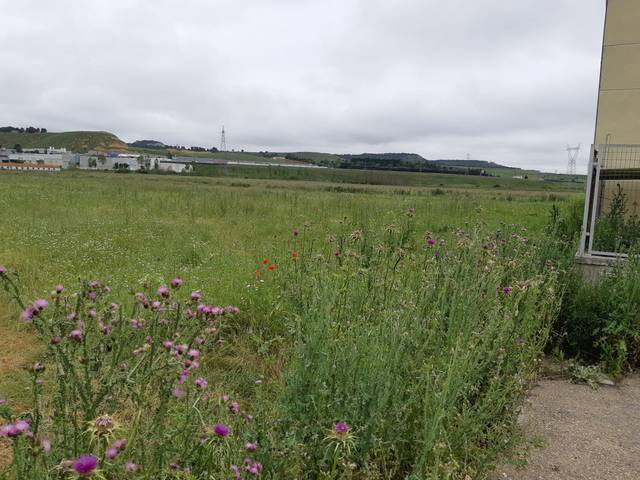 Terreno industrial en Venta en Carretera Cabezón en Santovenia de Pisuerga