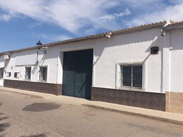 Nave industrial en venta en Pilas