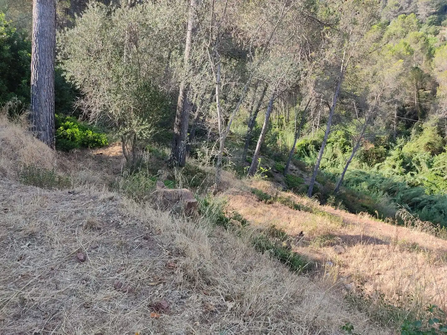 Residential for sale in Castellví de Rosanes