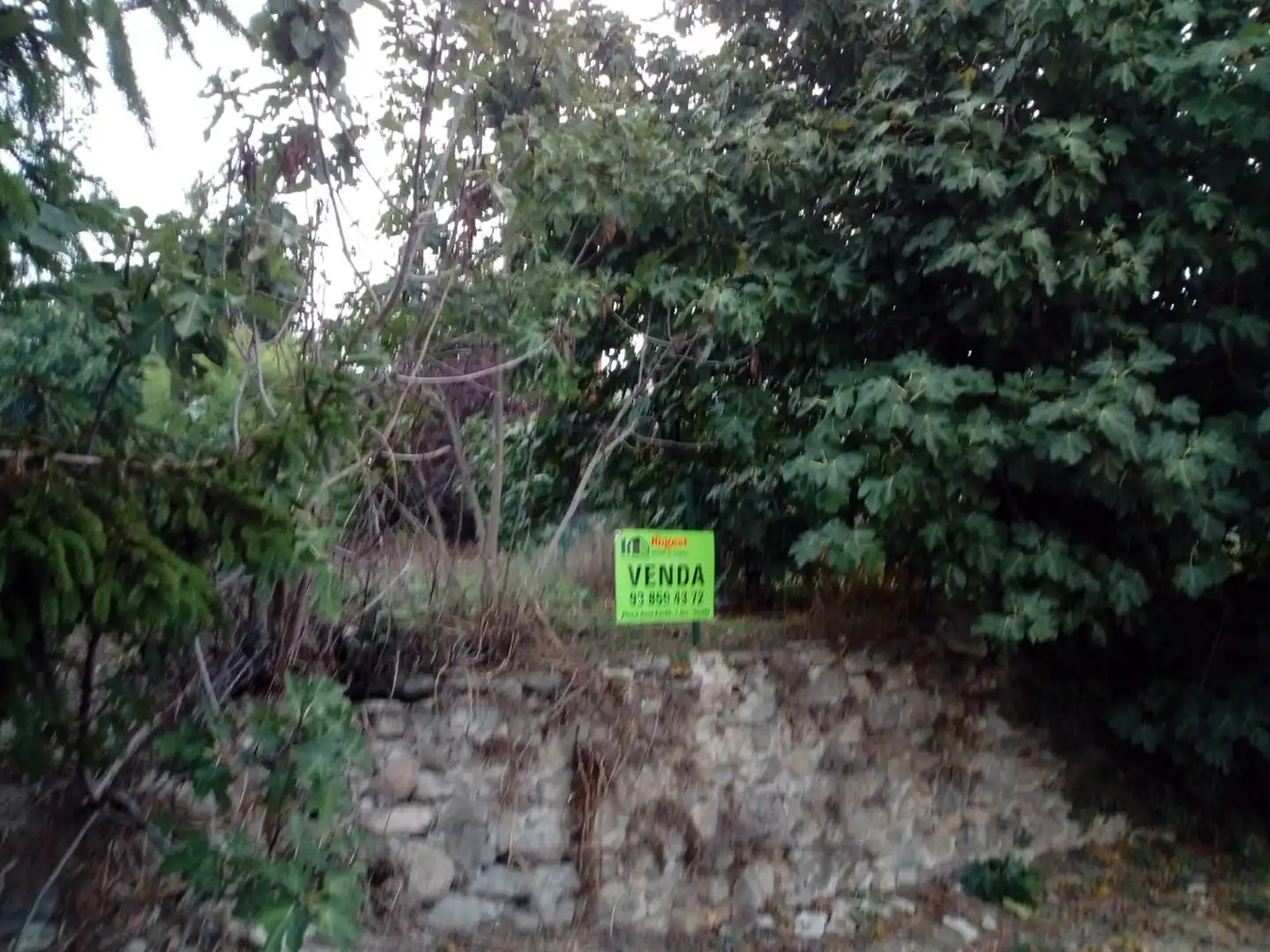 Lands and plots for sale in Sant Vicenç de Torelló, imagen 3