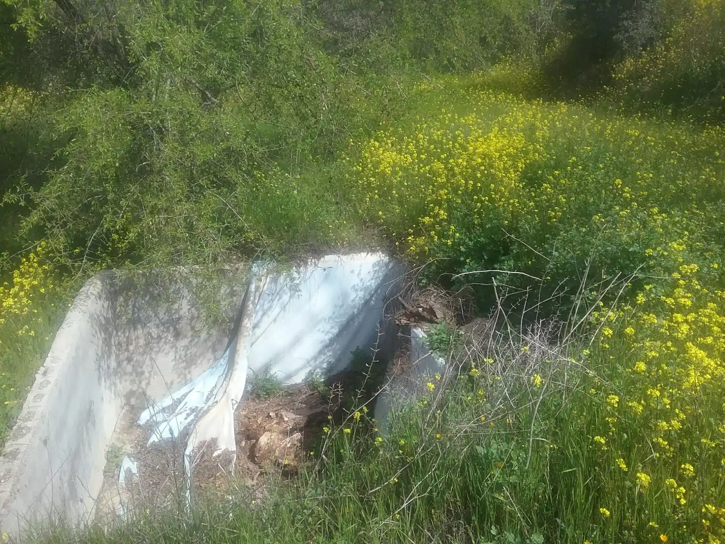 Terreny rústic en venda a Norte, imagen 6