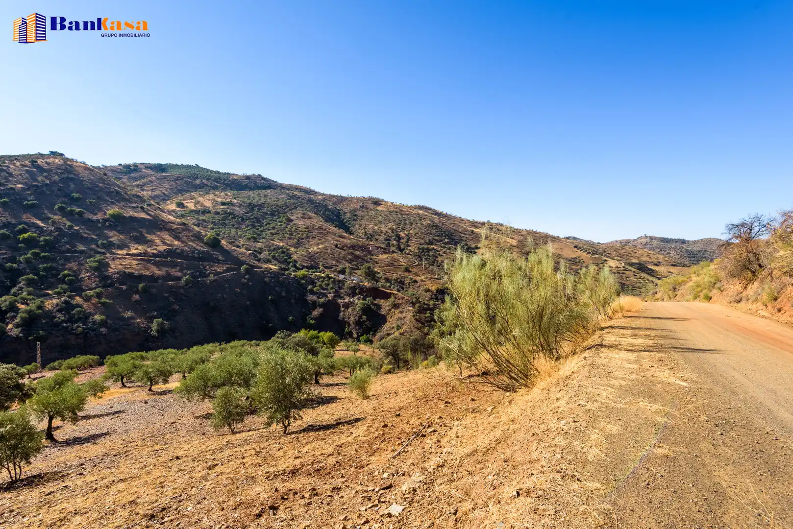 Vista exterior de Finca rústica en venta en Álora con Jardín privado y Trastero