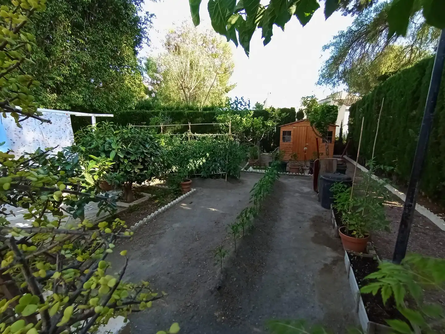 Jardí de Casa o xalet en venda en Mutxamel amb Calefacció, Jardí privat i Traster