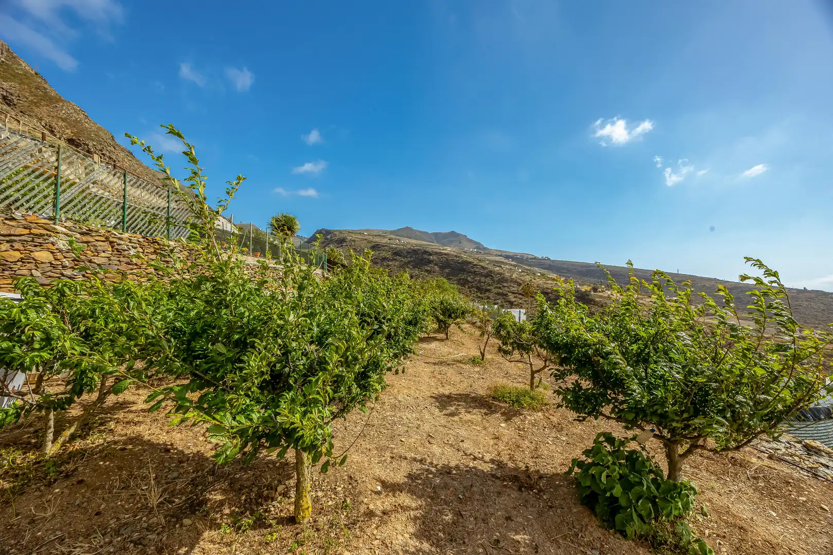 Casa o xalet en venda a Santa María de Guía de Gran Canaria