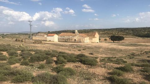 FINCA RUSTICA MUY CERCA DE CASCO URBANO, immagine 2