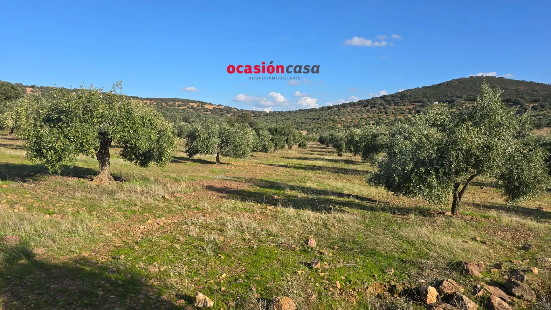 Wohnbaugrundstück zum Verkauf in La Granjuela, imagen 20