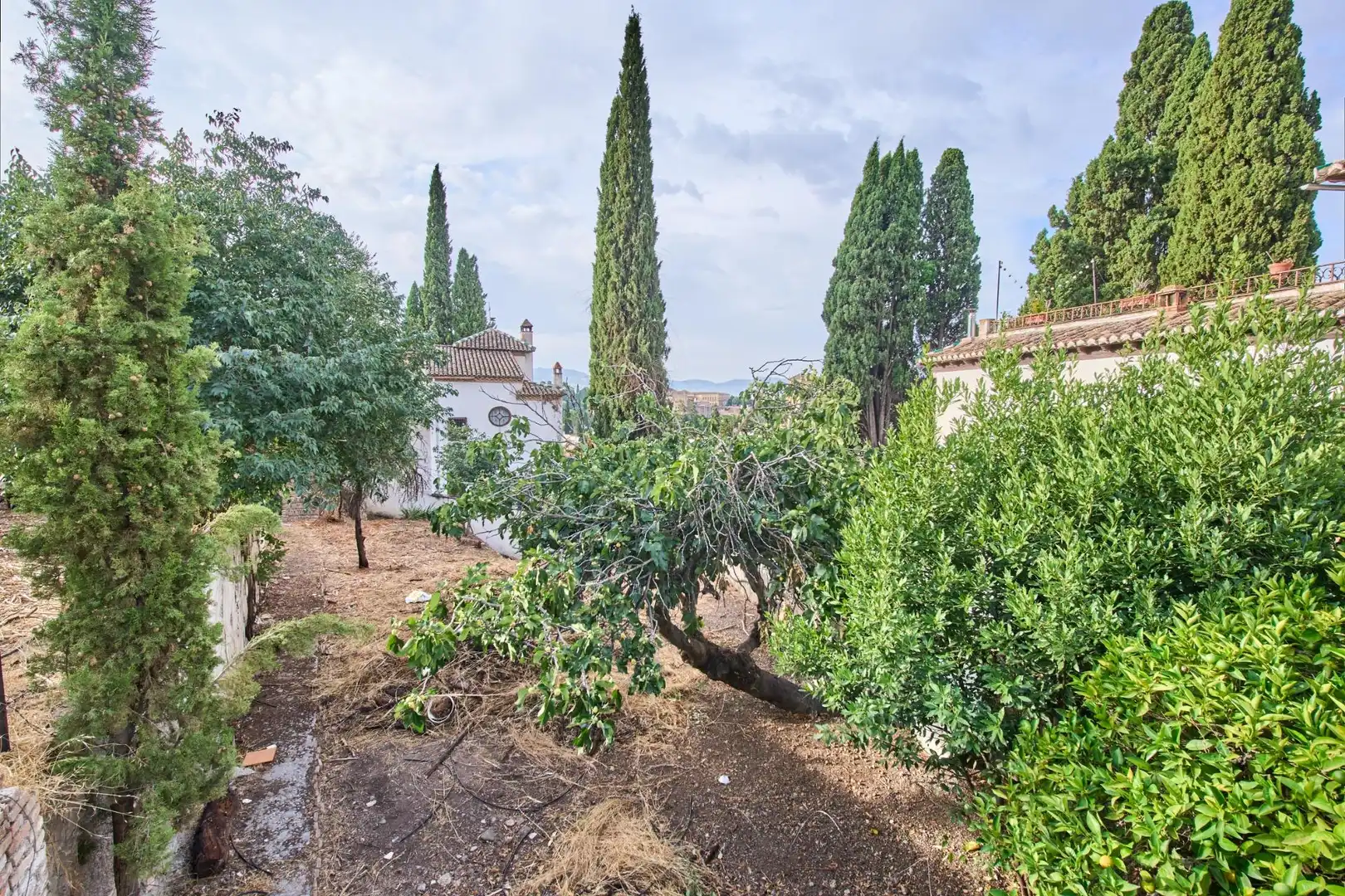 Jardín de Casa o chalet en venta en Granada con Jardín privado, Terraza y Piscina