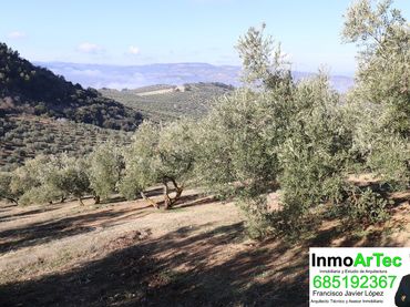 Terreno rustico in vendita a Moclín