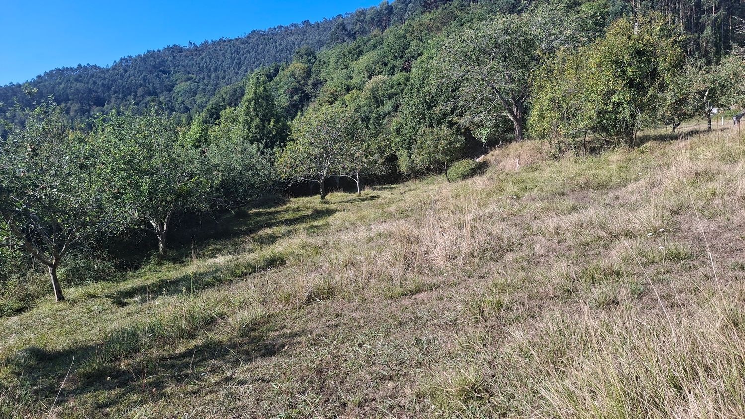 Residencial en venda en Villaviciosa