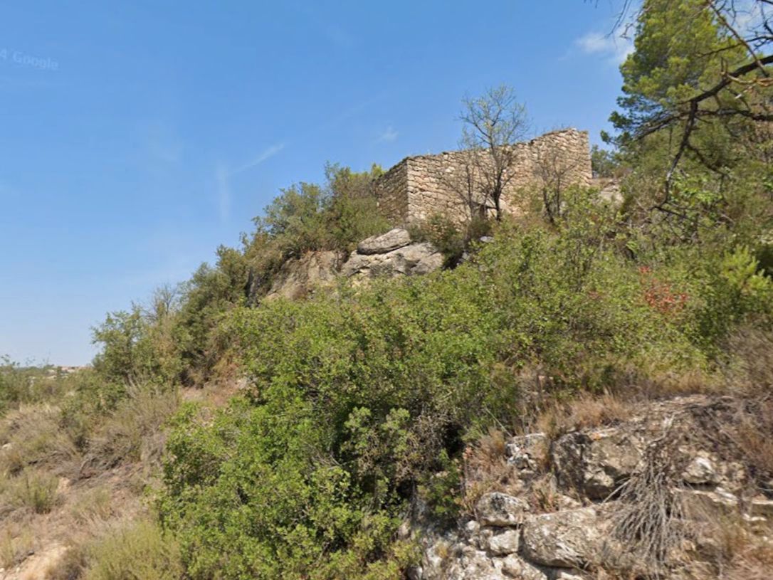 Exterior view of Land for sale in Els Omellons