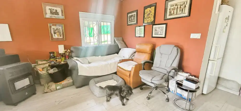 Sala d'estar de Casa o xalet en venda en Monóvar  / Monòver
