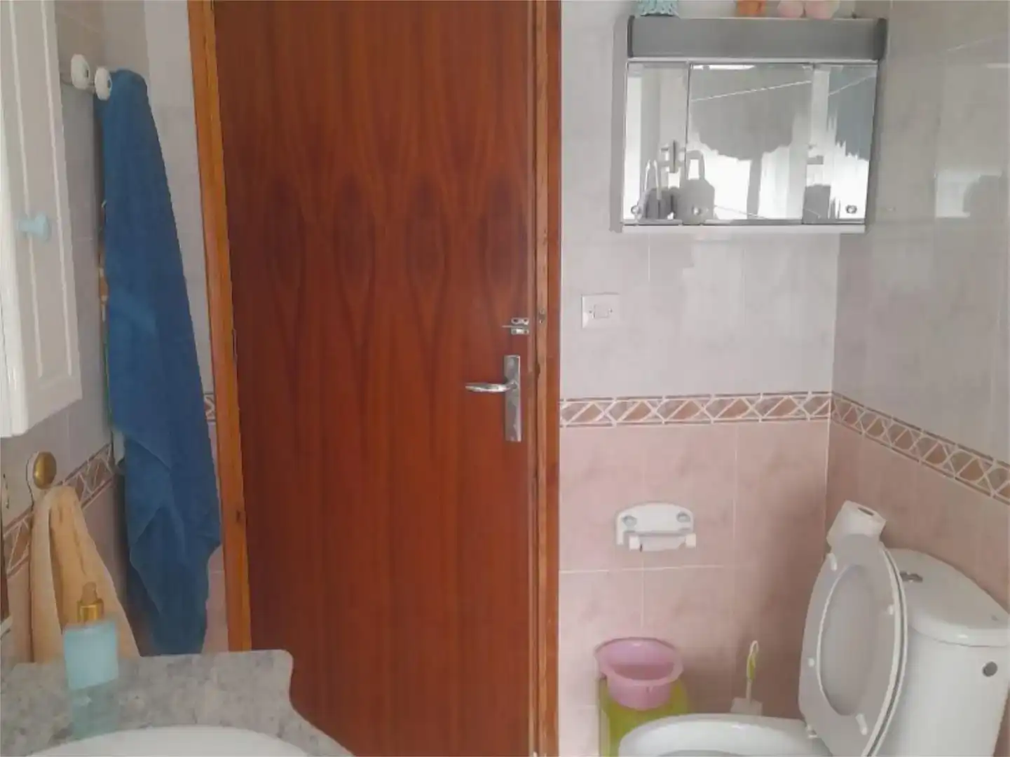 Bany de Planta baixa en venda en Gorafe amb Jardí privat, Traster i Moblat
