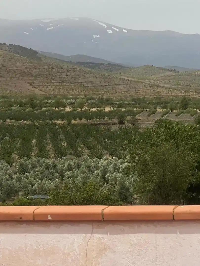 Jardí de Casa o xalet en venda en Dólar amb Moblat, Forn i Rentadora
