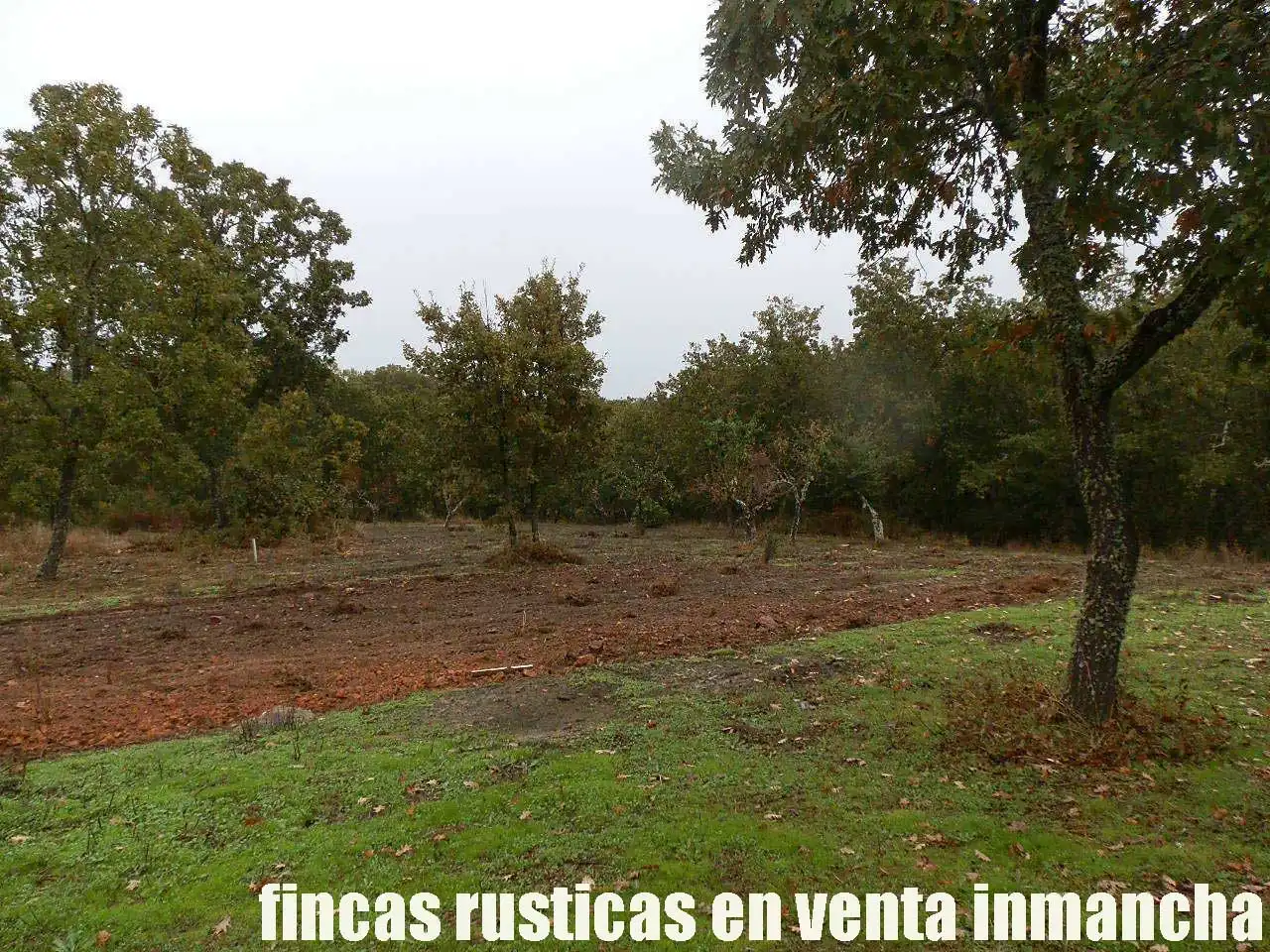 Land for sale in Abenójar