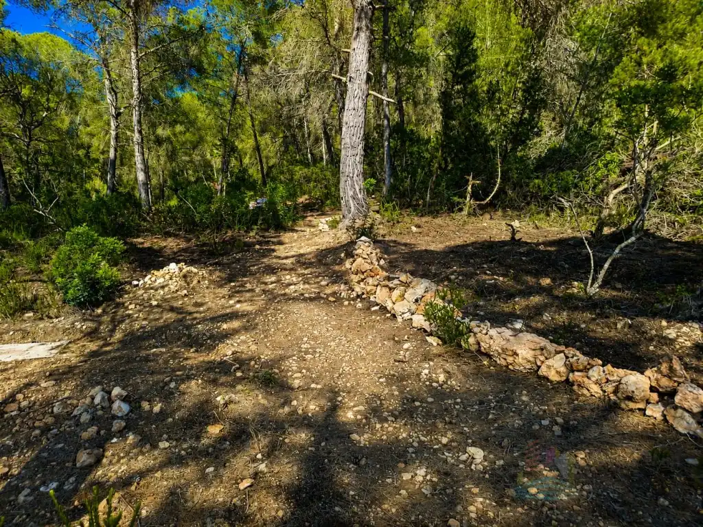 Terreny rústic en venda a Camí Cala Salada, imagen 6