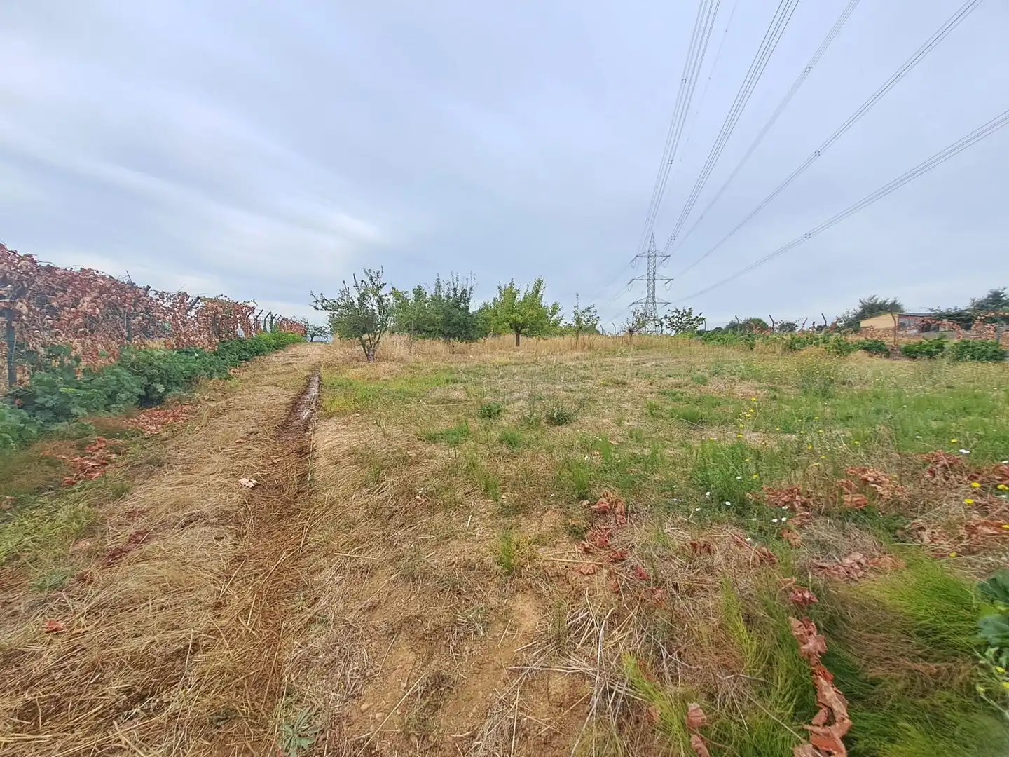 Residencial en venta en Ponferrada