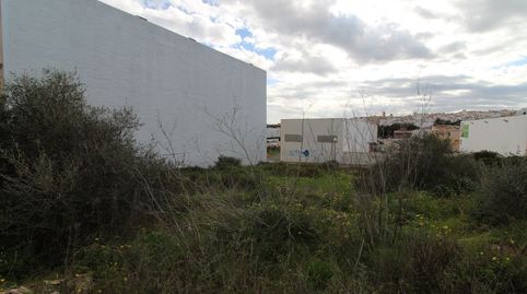 Parcela de 334m2 en catastro, siendo en escritura331,81 m2.