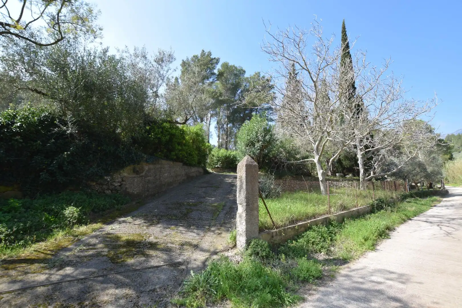Casa o xalet en venda en Alfara de Carles amb Terrassa, Traster i Piscina