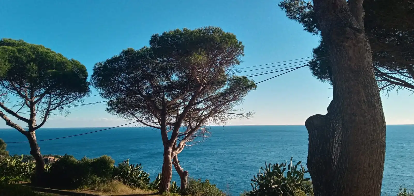 Detached homes for sale in Travessia Cami de les Penyes, Puntabrava - Port Salvi