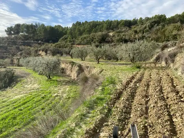 Lands and plots for sale in Mula, imagen 4