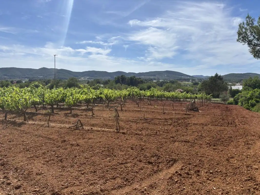 Land for sale in Sant Joan de Labritja