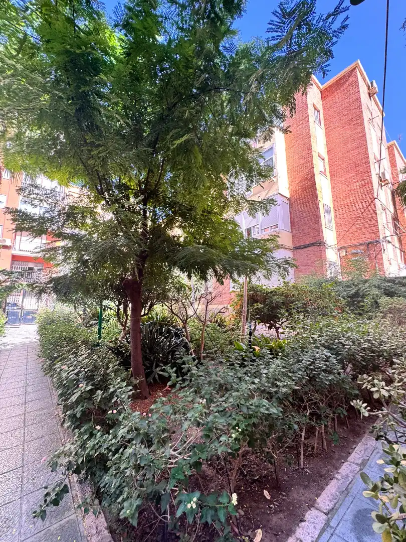 Flat with garden for sale in Calle Tirso de Molina 20, imagen 3