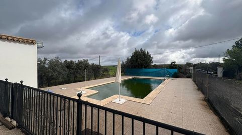 EXCLUSIVIDAD...!!! 1446- SE VENDE PARCELA RUSTICA ZONA CERRO PEREA...!!!!, imatge 5