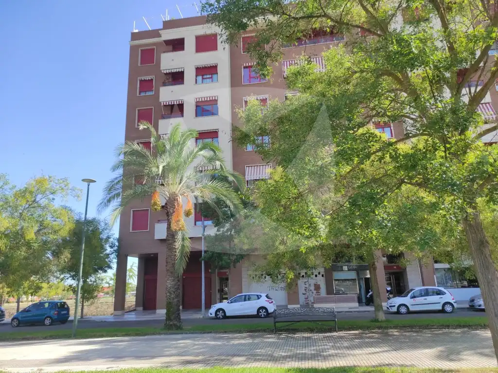 Gewerbefläche zur Miete in Calle Eugenio García Estop, imagen 8