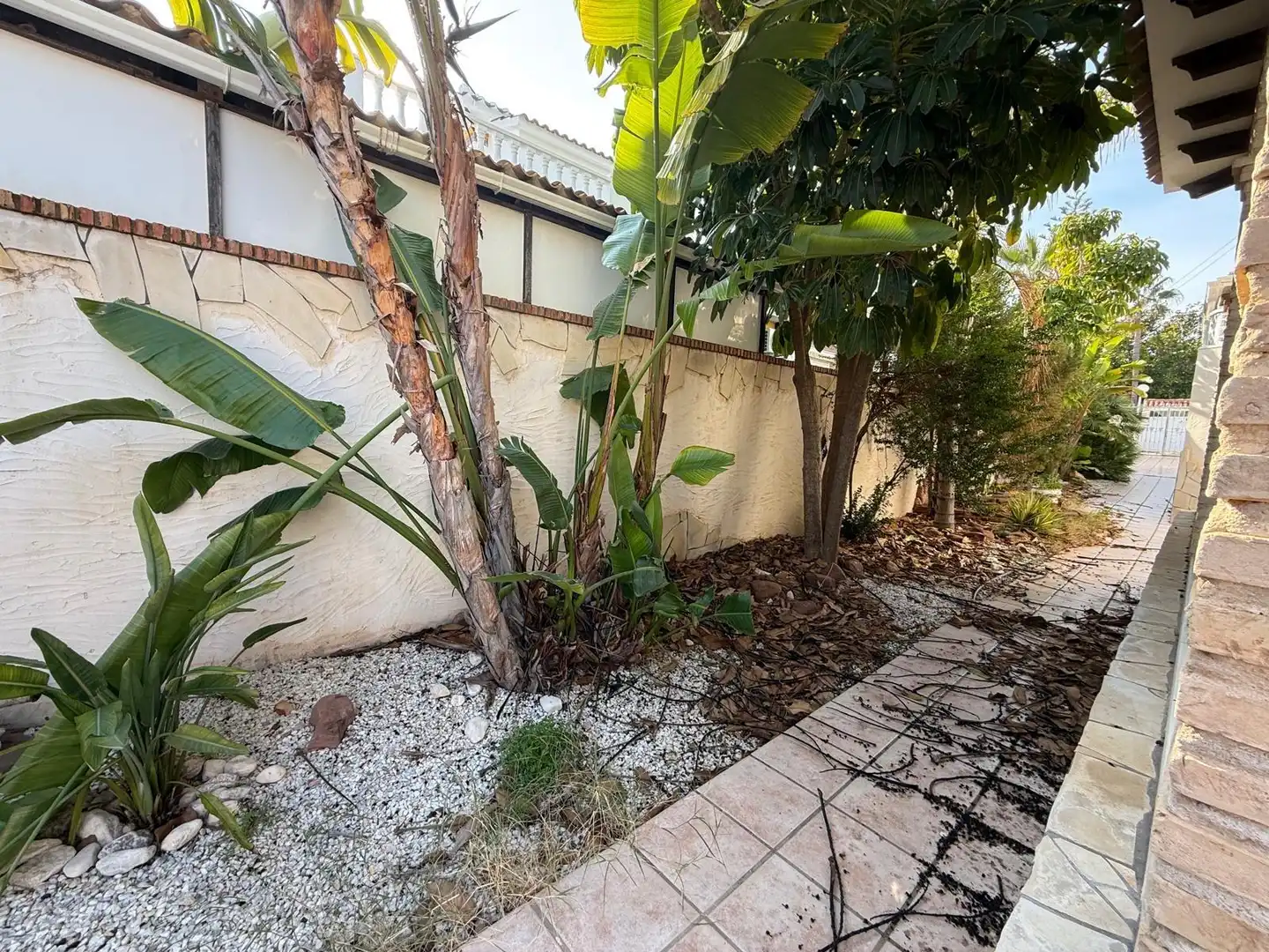 Casa pareada en venta en Calle Calle Geranios, imagen 47