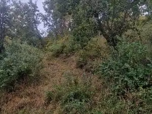 Residential land for sale in Carrer de Collsuspina 506, imagen 6
