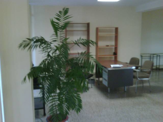 Local comercial en Alquiler en Calle Sagunto en Sagunto - Edisol