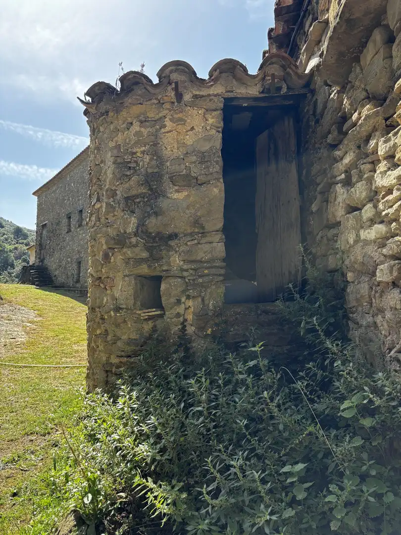 Exterior view of Country homes for sale in Sant Aniol de Finestres  with Terrace and Swimming Pool