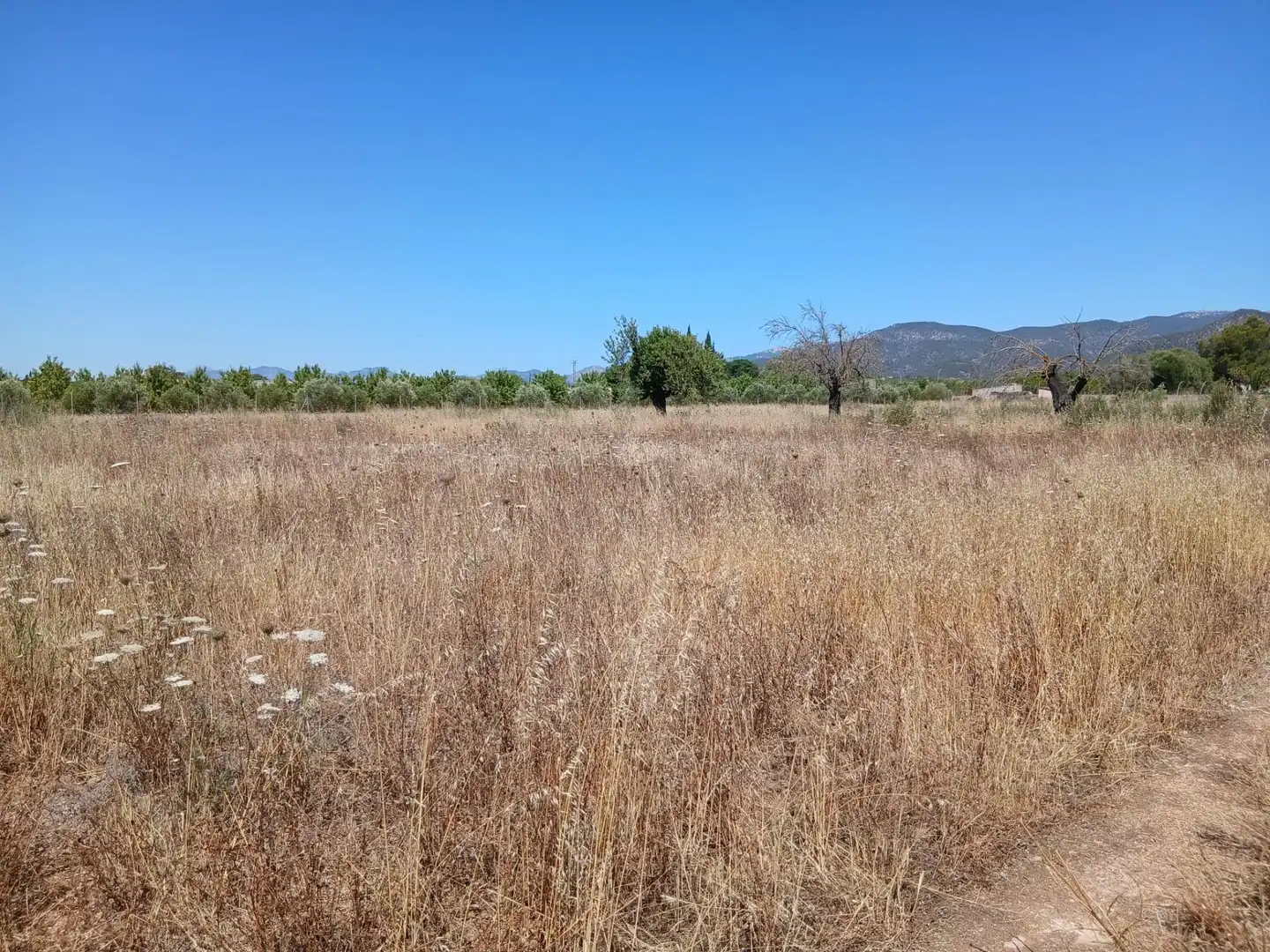 Finca rústica en venta en Consell con Jardín privado