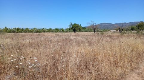 Foto 3 de Finca rústica en venda a Consell, Illes Balears