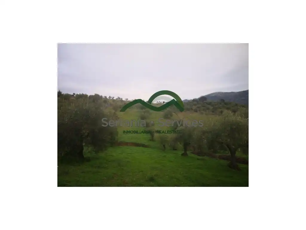Haus zum Verkauf in Cortes de la Frontera, imagen 6