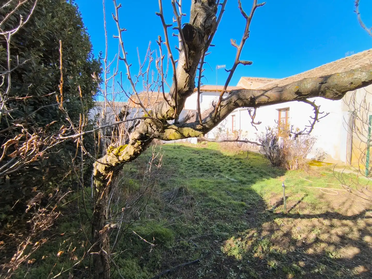 Casa o chalet en venta en Villamartín de Campos con Calefacción, Jardín privado y Trastero