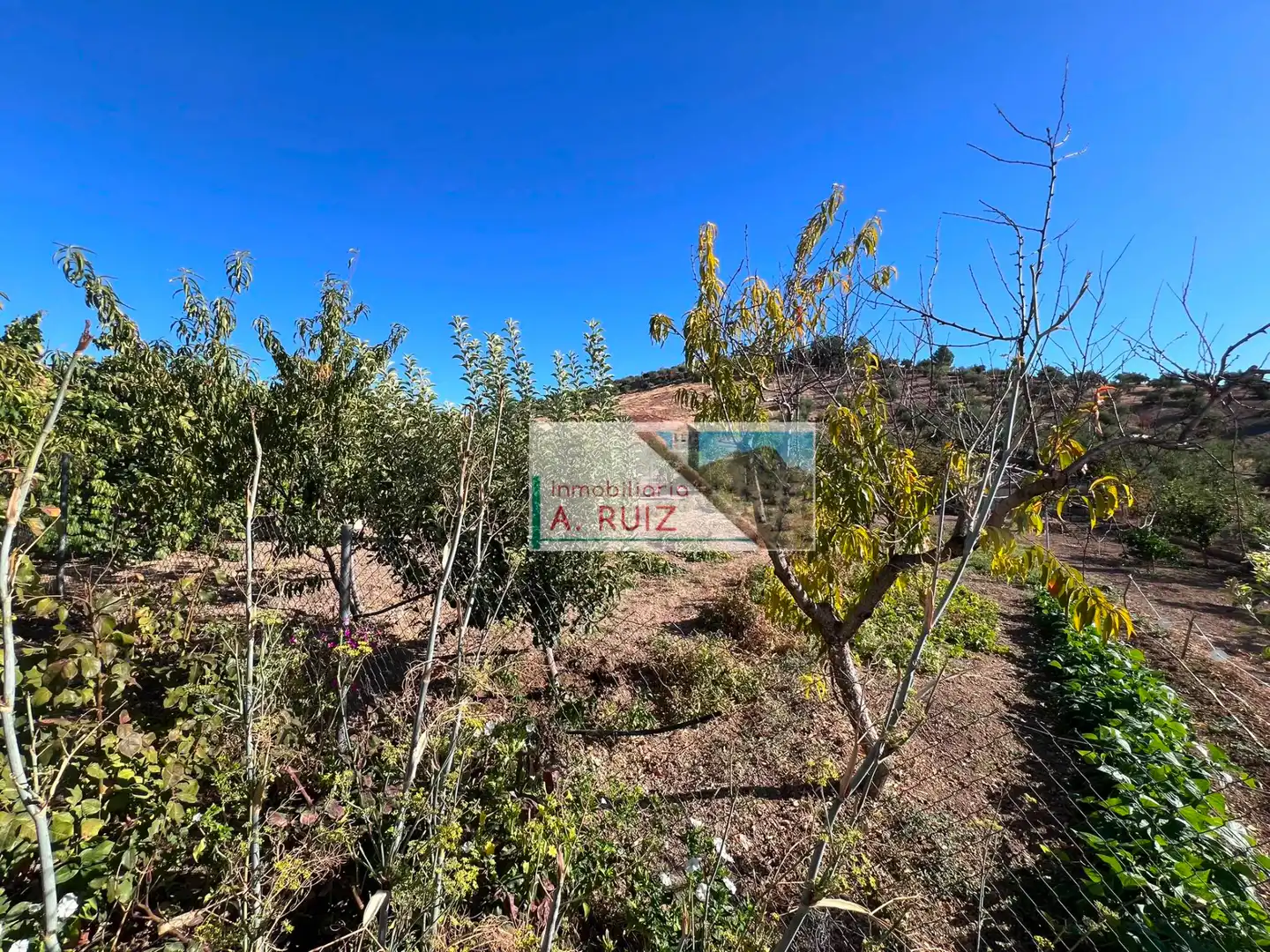 Landhaus zum Verkauf in Priego de Córdoba, imagen 13