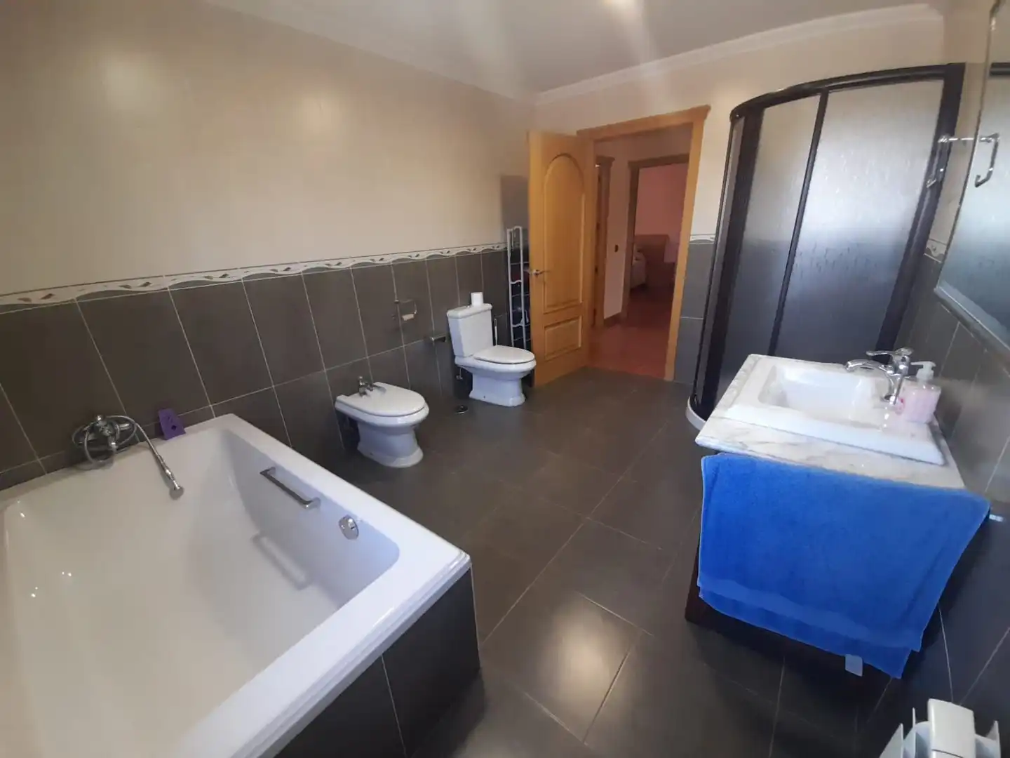 House with pool for sale in Argamasilla de Calatrava, imagen 24