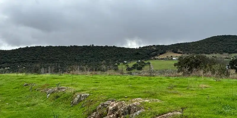Residencial en venta en Almadén de la Plata